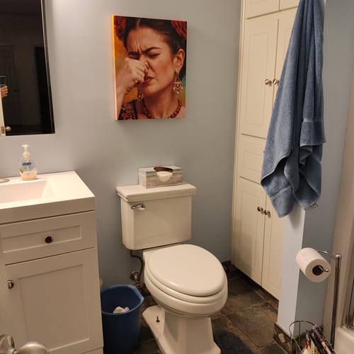 Customer's humorous 'Guacala' canvas print of a woman pinching her nose, hanging on a bathroom wall above a toilet.