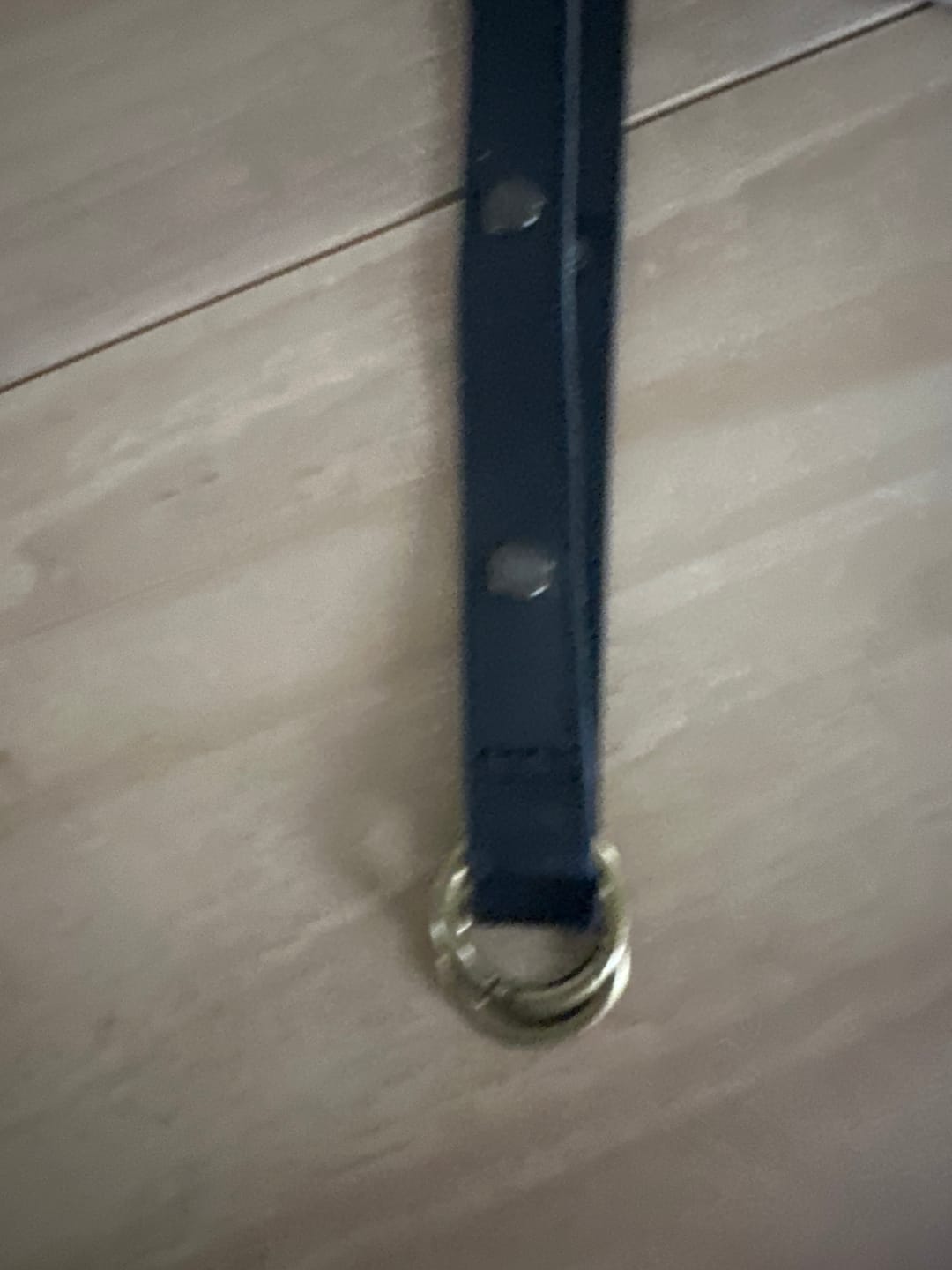 Customer photo review of Navy Original Straps