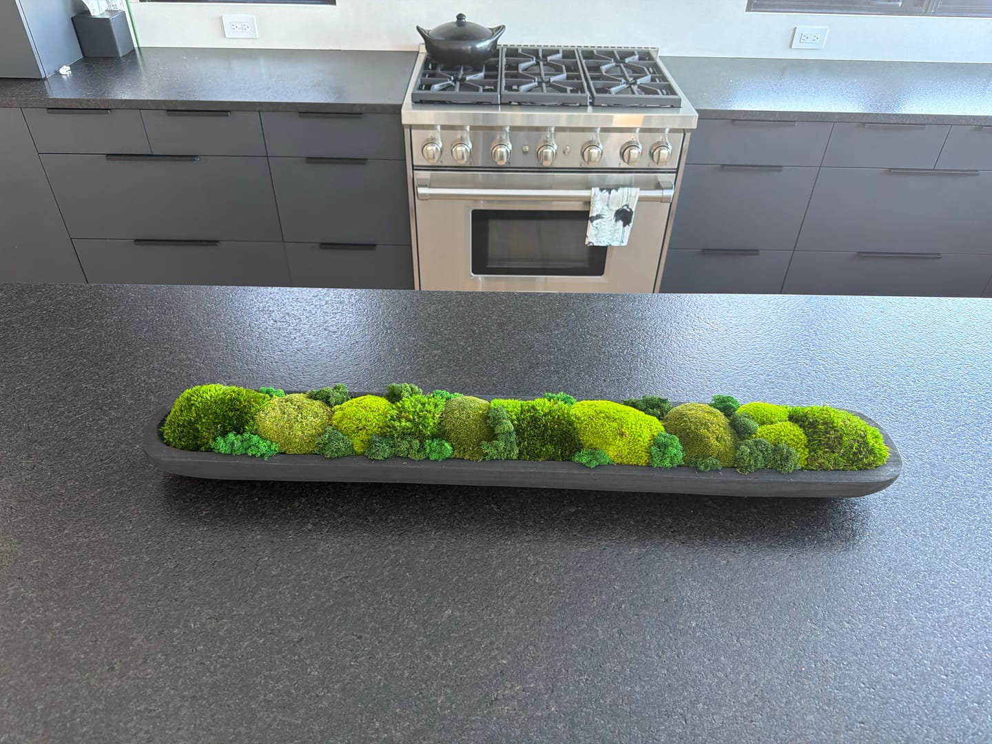 Customer photo review of 40" or 60" Preserved Moss Centerpiece