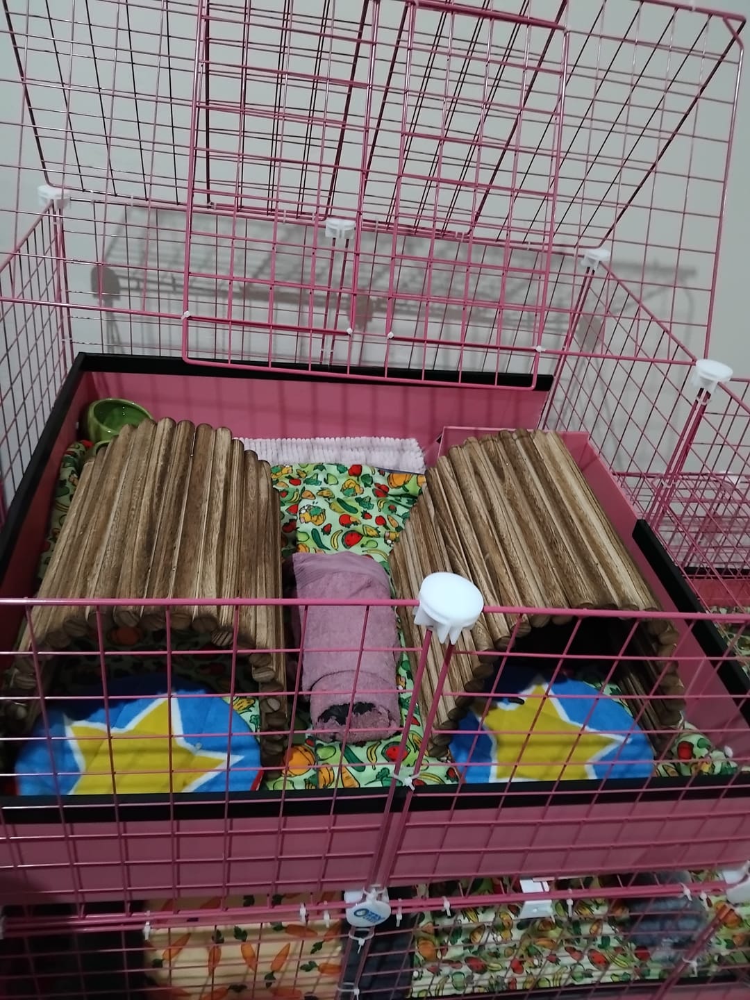 Customer photo review of Loft Combo - 2x2 Wide Loft Add On for Guinea Pig Cages