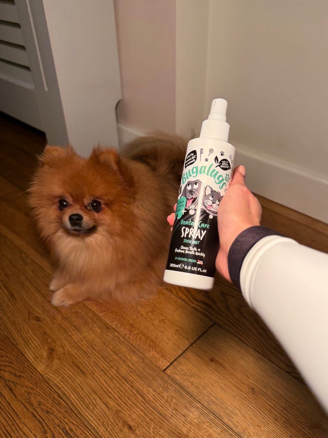Customer photo review of Dental Care Spray in Fresh Mint for Dogs & Cats