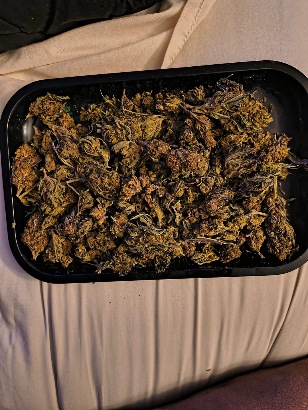 Customer photo review of Wedding Crasher THCA Flower LB