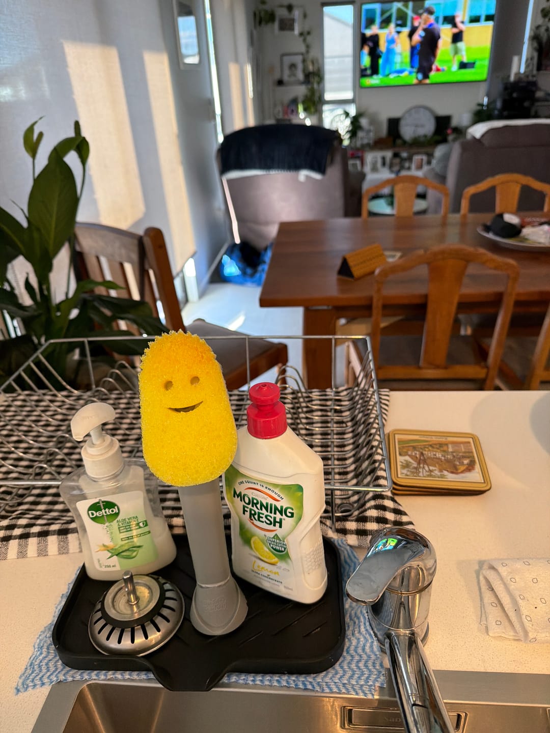 Customer photo review of Dish Daddy Complete Setup