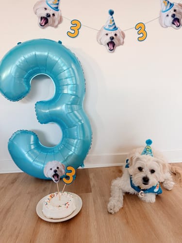 Customer photo review of Personalized Dog Party Pack