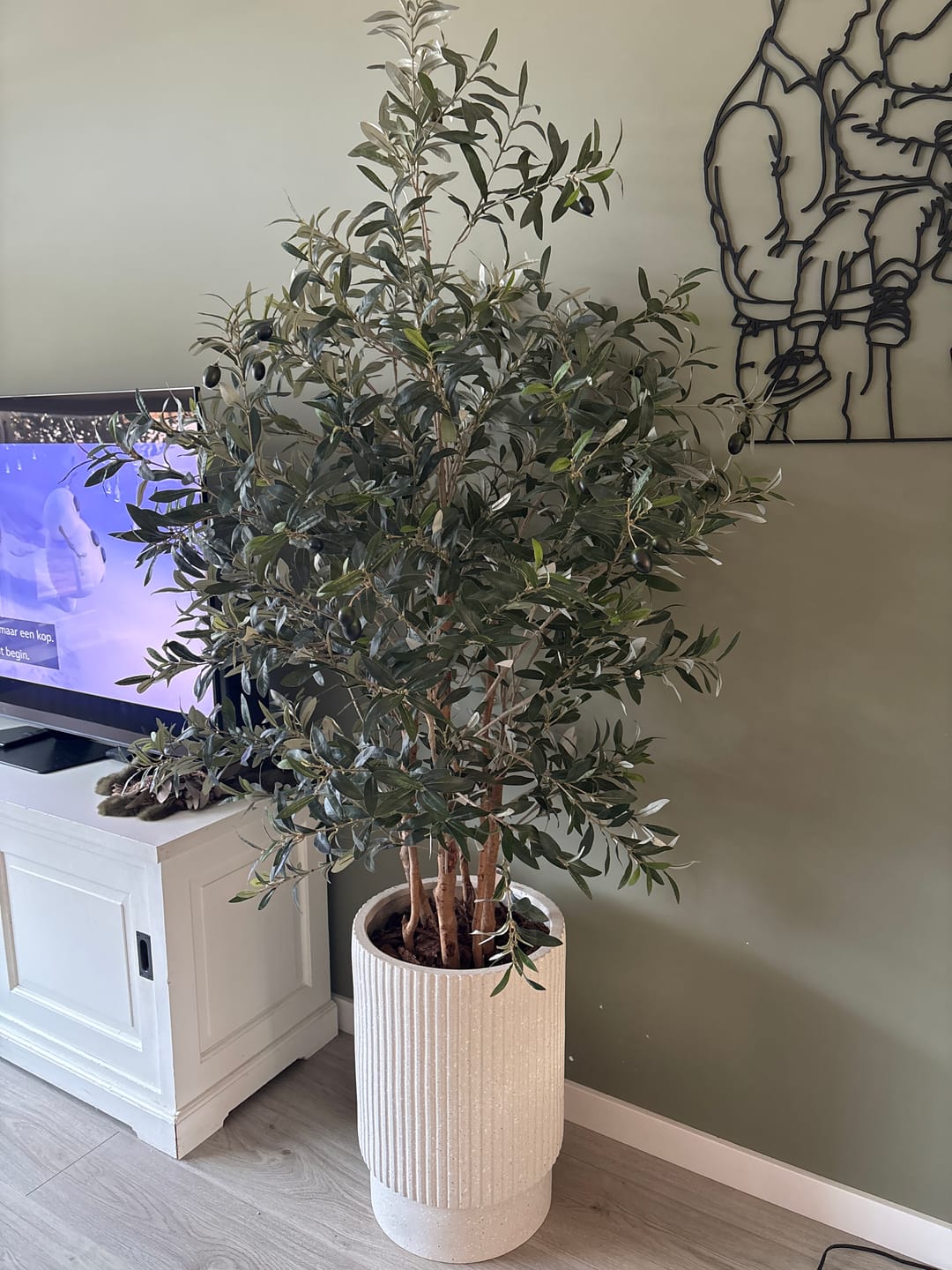 Customer photo review of Pre-Order Kunst Olijfboom 180cm (eind jan '26)