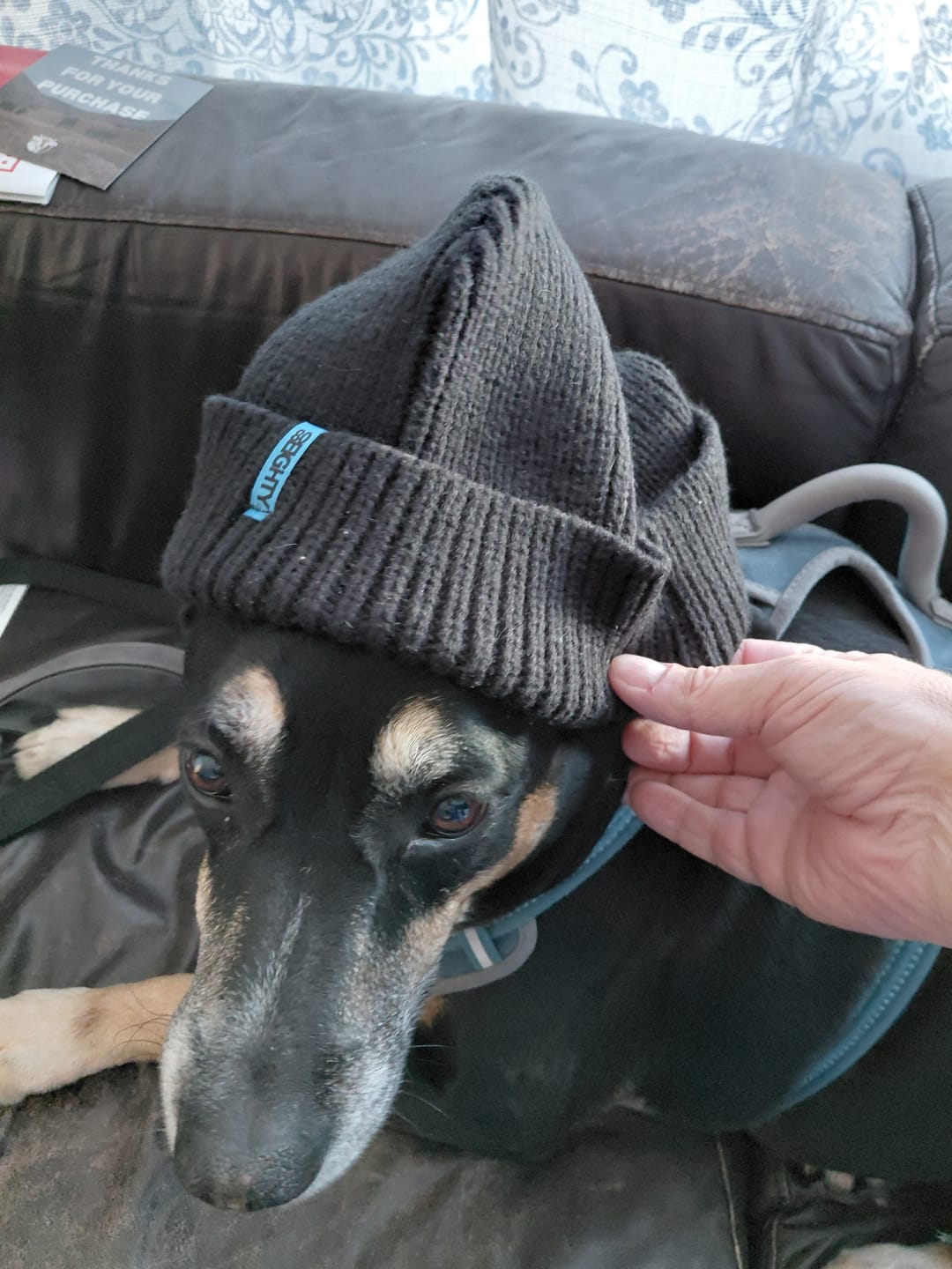 Customer photo review of 80eighty® Onyx Beanie