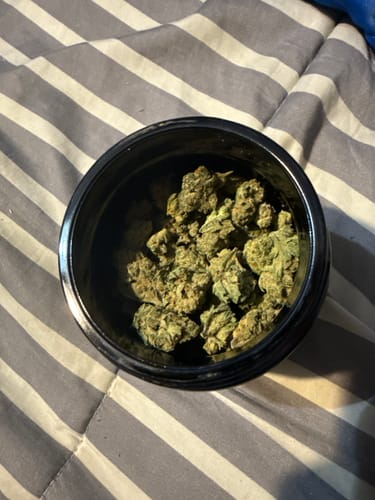 Customer photo review of Chocolope (smalls)