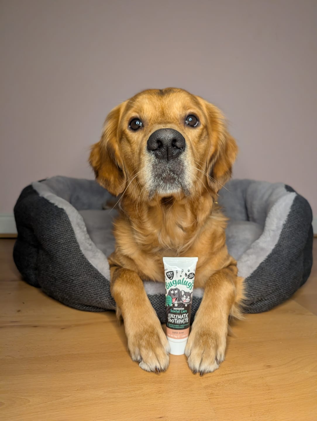 Customer photo review of Dental Care Kit (Enzymatic Toothpaste with Finger Toothbrush) for Dogs & Cats