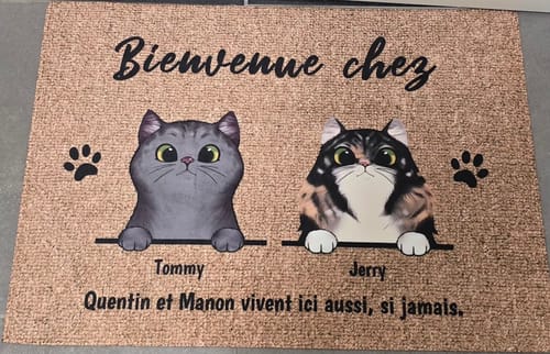 Customer photo review of Bienvenue chez les chats curieux - Paillasson personnalisé
