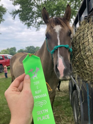 Customer photo review of Hay Chix® Half Bale Net