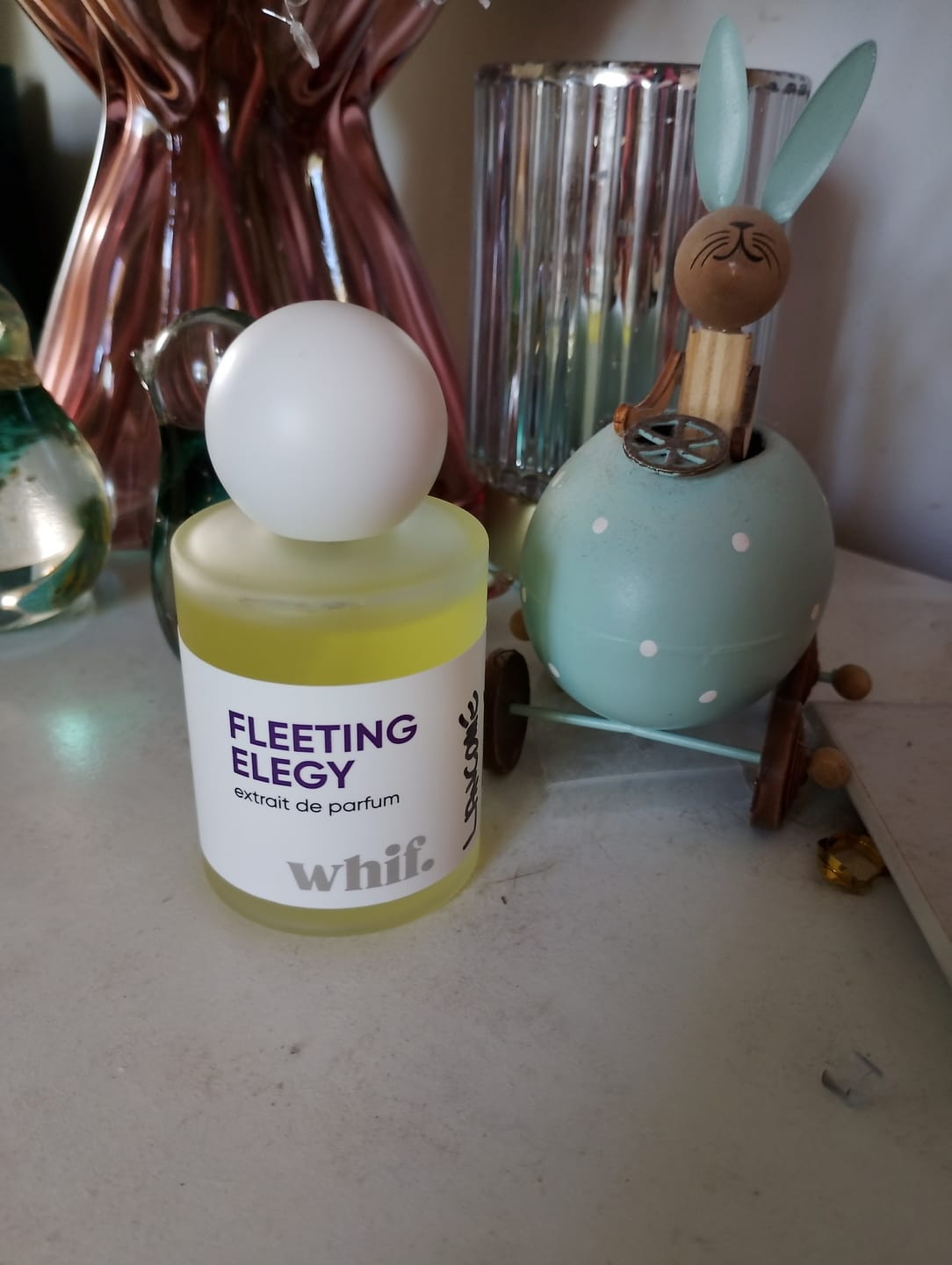 Customer photo review of Fleeting Elegy