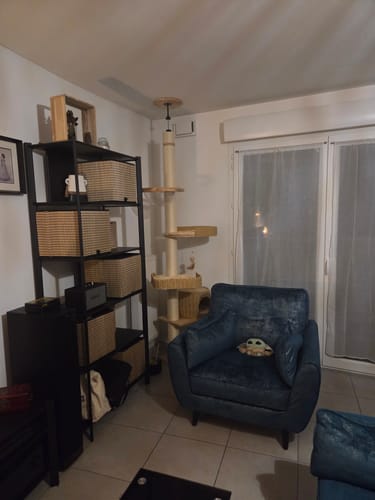 Customer photo review of Arbre à chat - Ascenseur Céleste