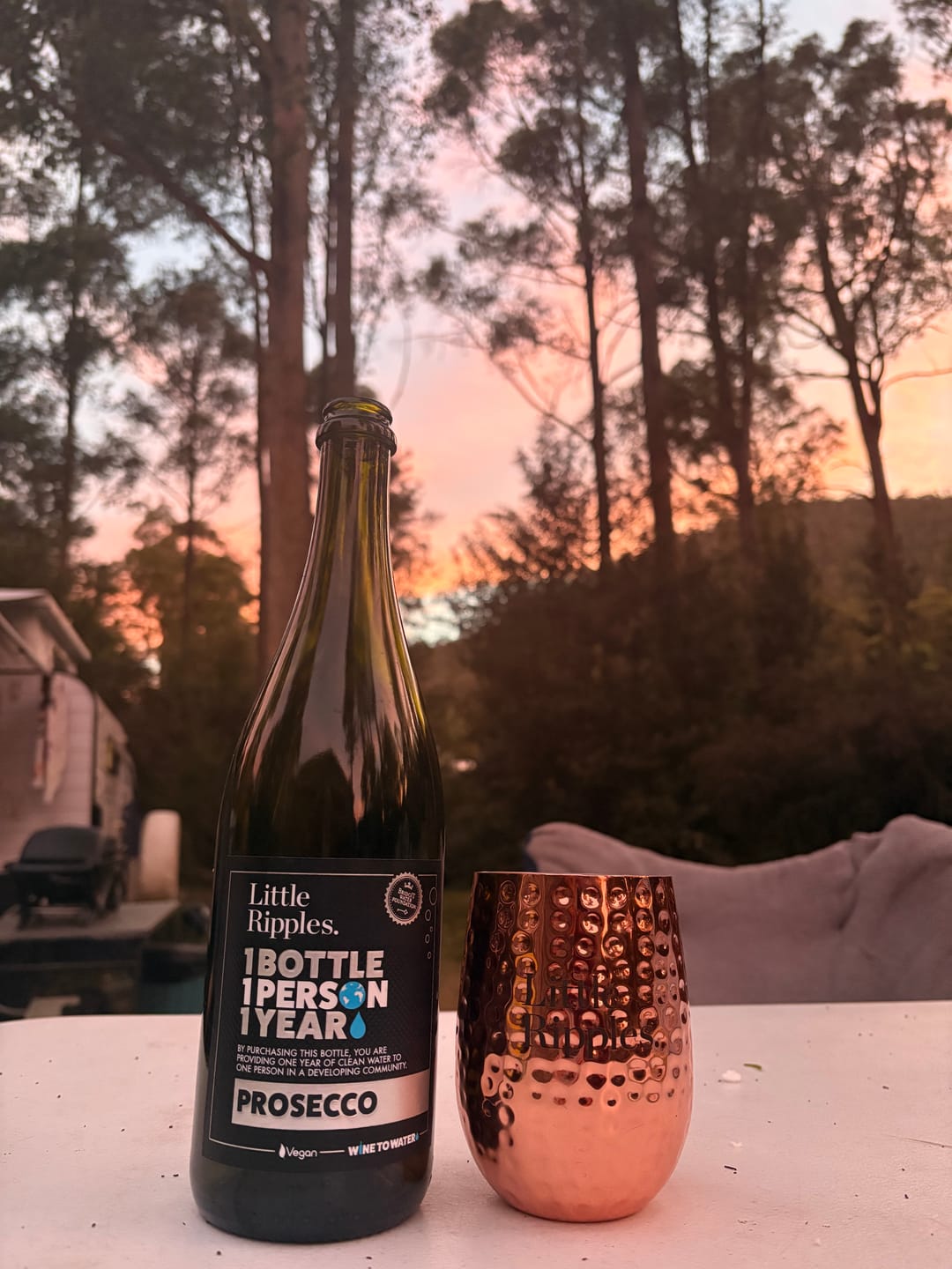 Customer photo review of Hammered Copper Wine Mug GWP