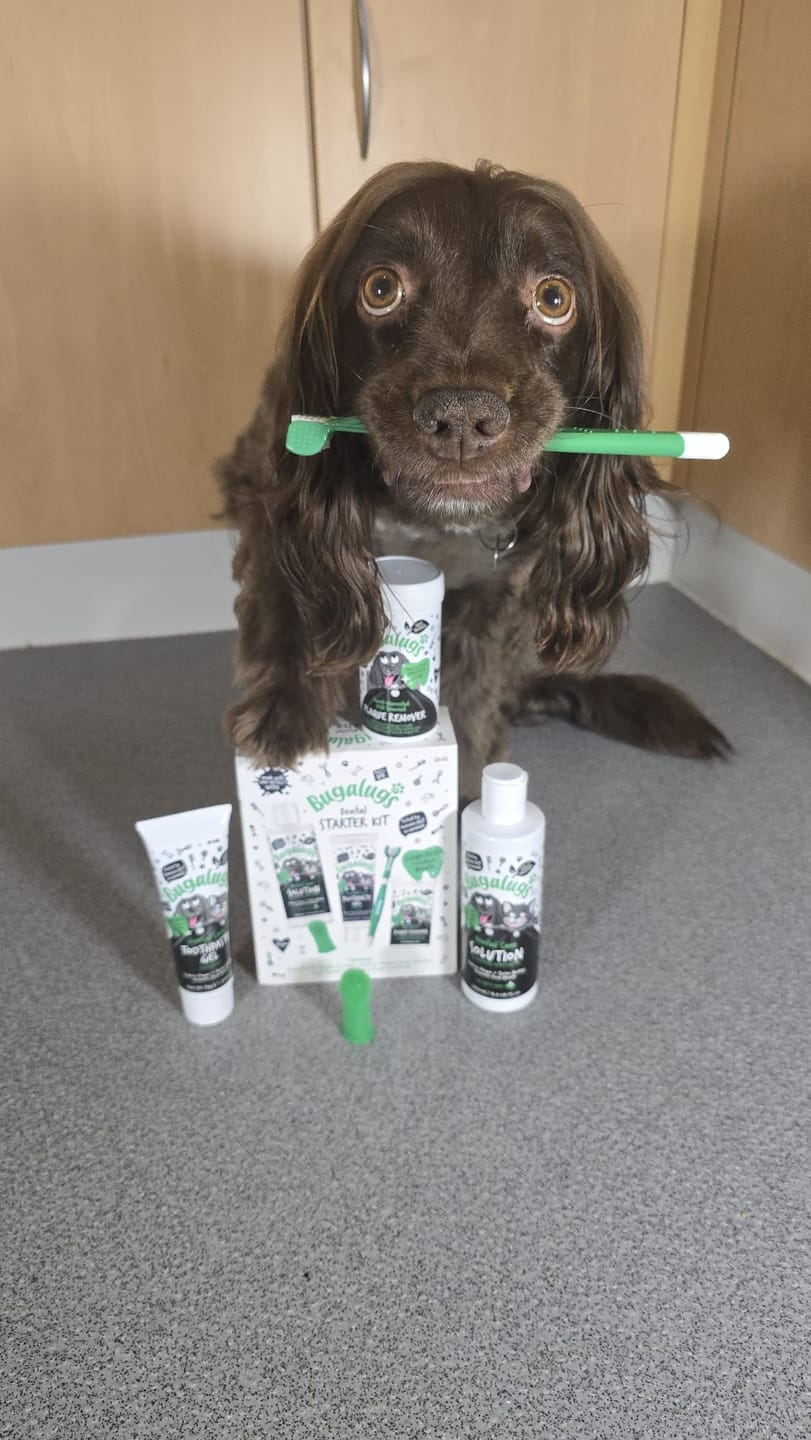 Customer photo review of Dental Starter Kit for Dogs & Cats