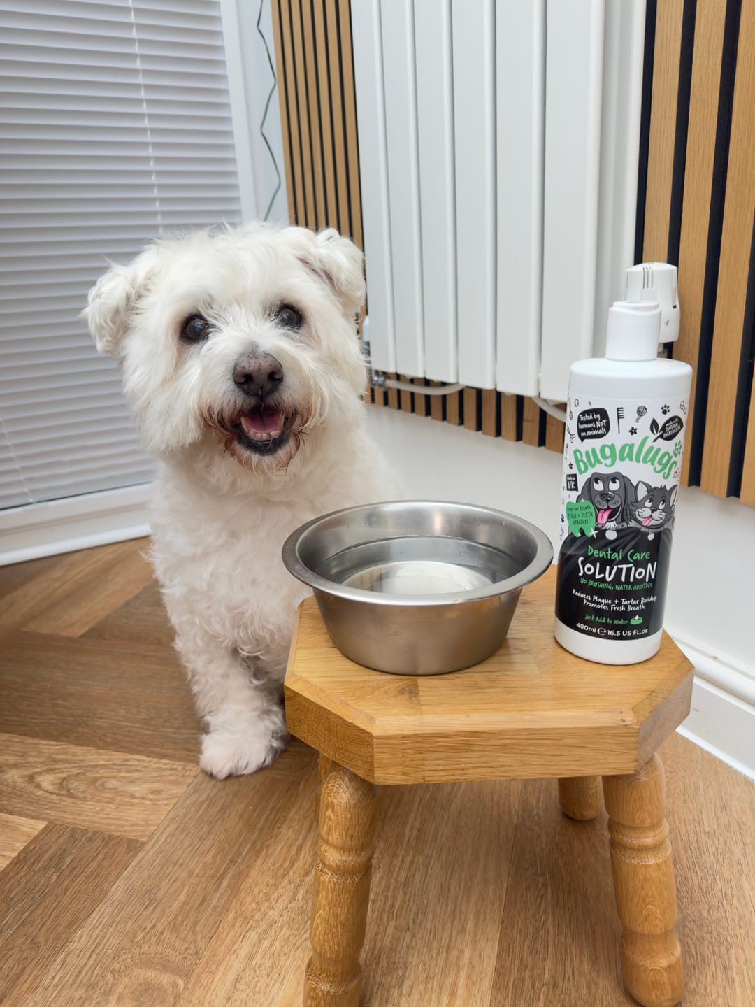 Customer photo review of Dental Care Solution Water Additive for Dogs & Cats