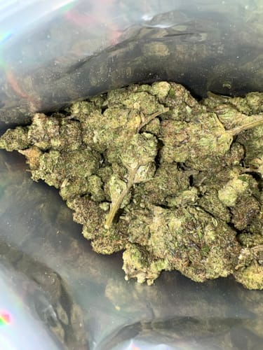 Customer photo review of Hash Plant - Bulk - Indica