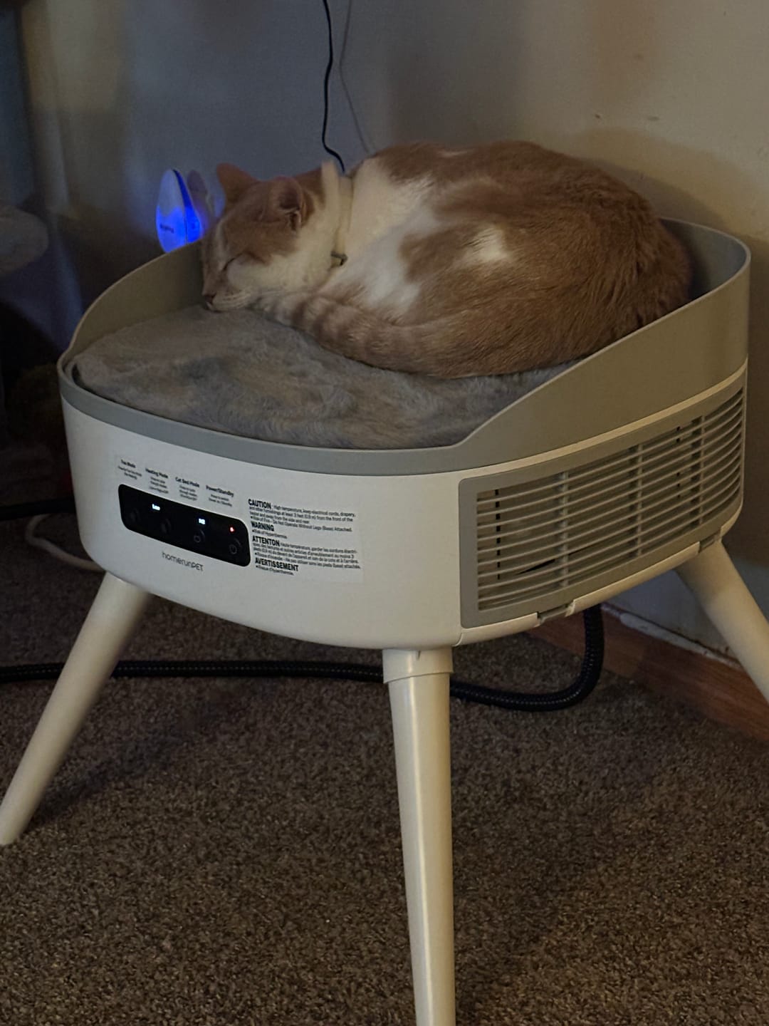 Customer photo review of Pet-Friendly Space Heater PH20