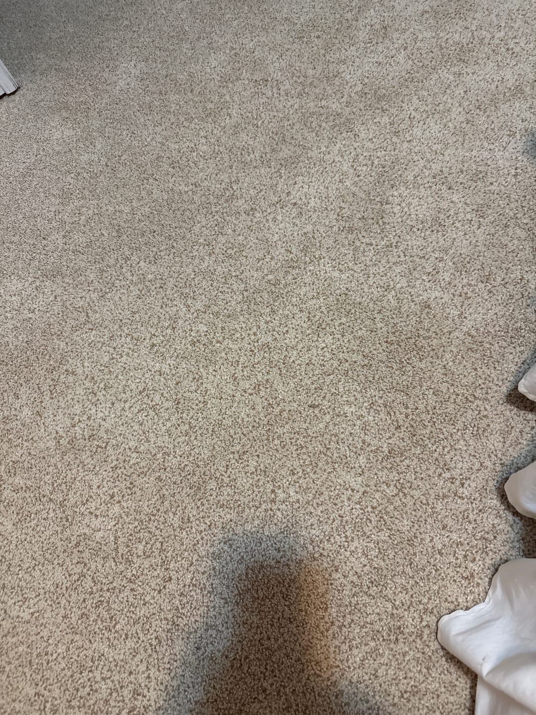 Customer photo review of 24 pcs Filter Replacement Pack (12 months)