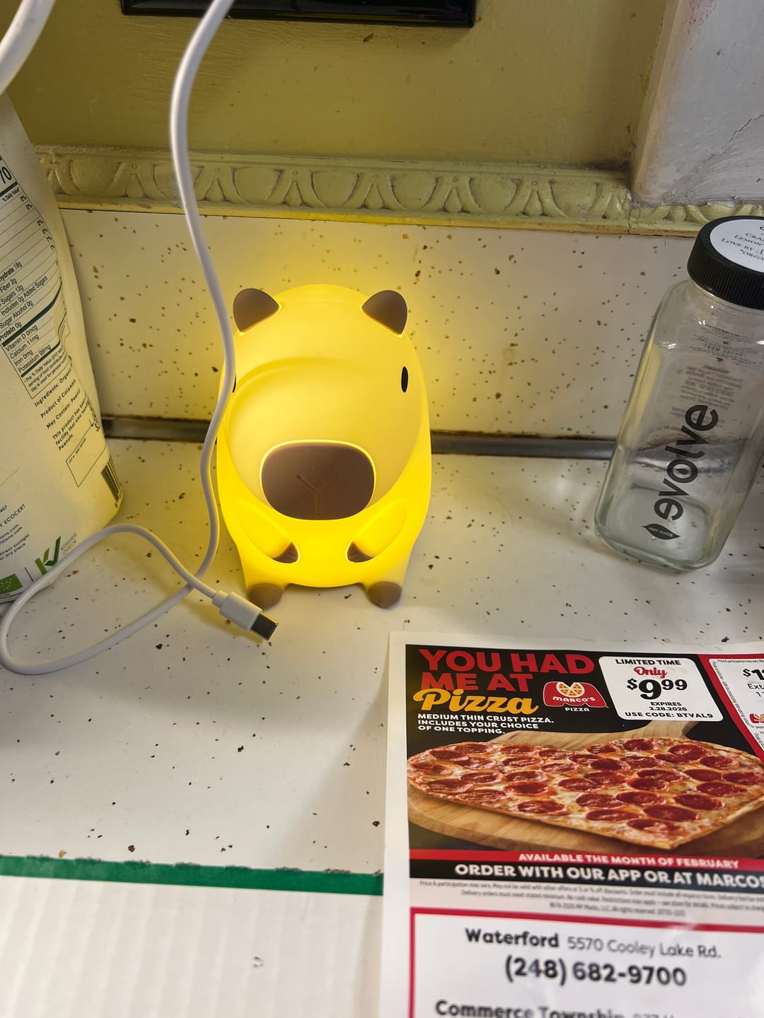 Customer photo review of MeWaii® Capybara Squishy Night Light - Perfect Gift 🎁