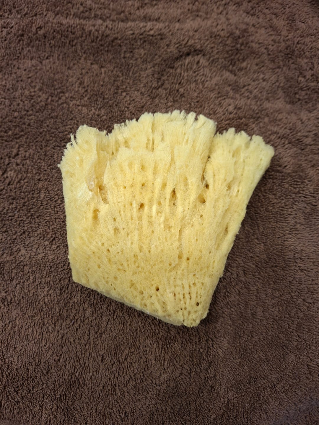 Customer photo review of Esponja Natural Suavinex