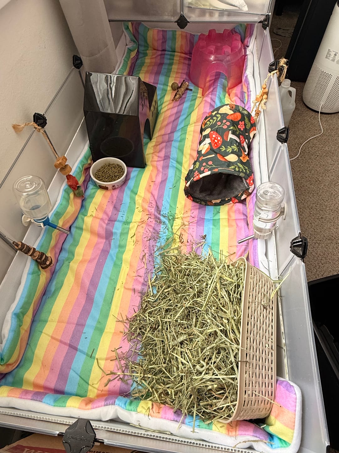 Customer photo review of Set of 2 Fleece Liners | Radiant Rainbow