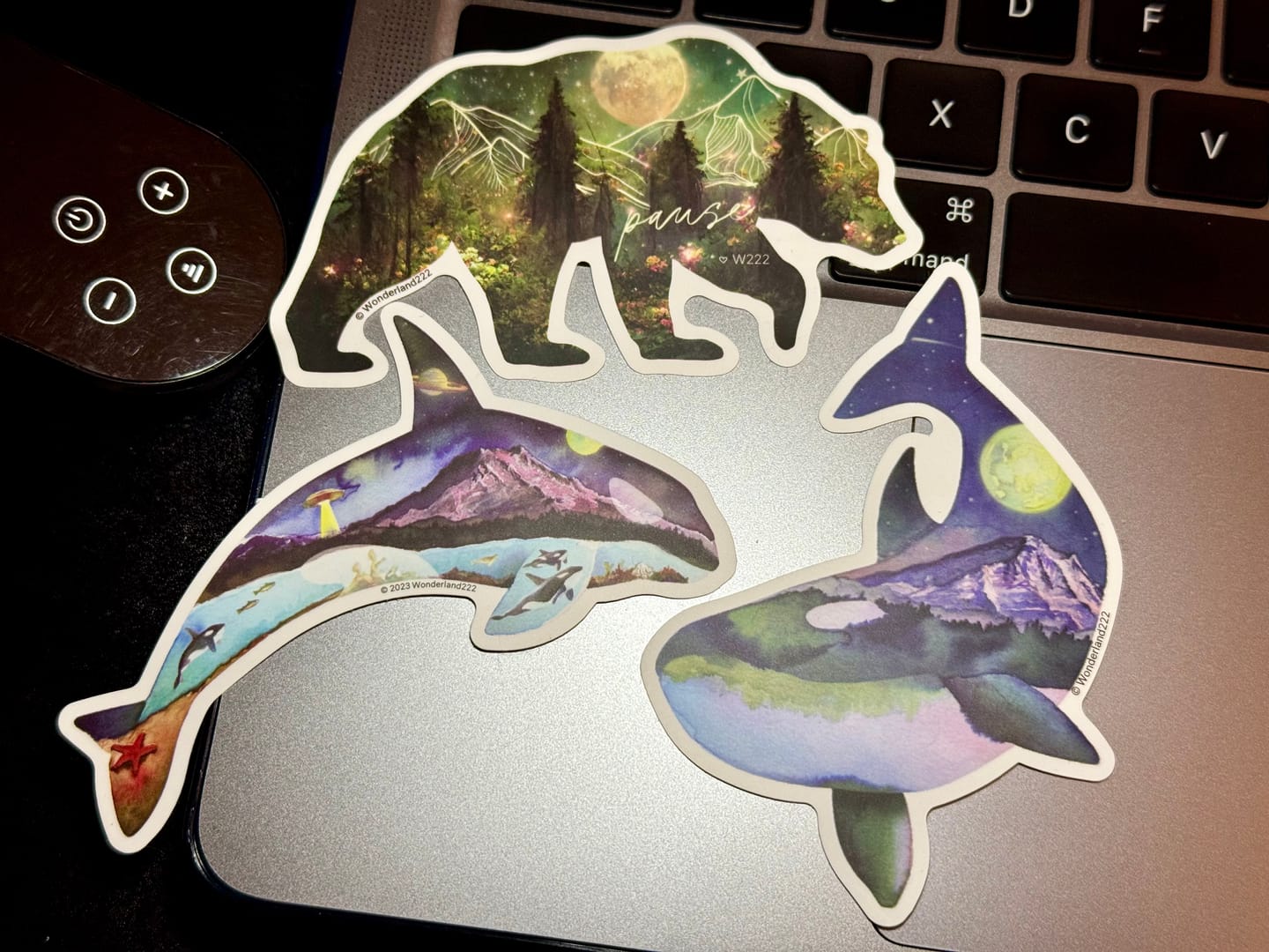 Customer photo review of Wonderland 222 2025 Vinyl Stickers