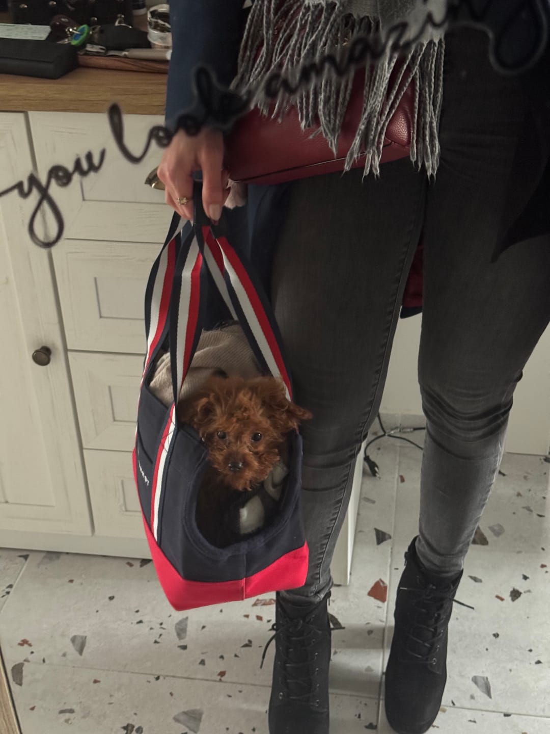 Customer photo review of Tommy Hilfiger Canvas Dog Tote Bag
