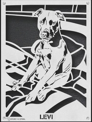Customer photo review of Custom Pet Metal Portrait