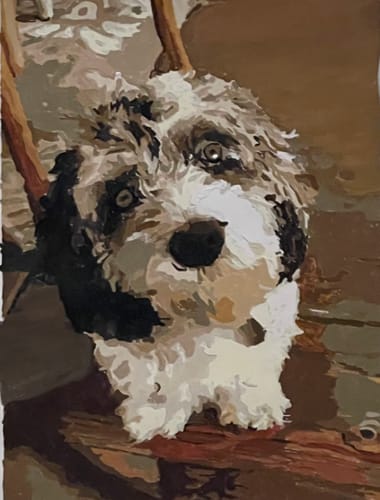 Customer photo review of Custom Pet Paint By Numbers