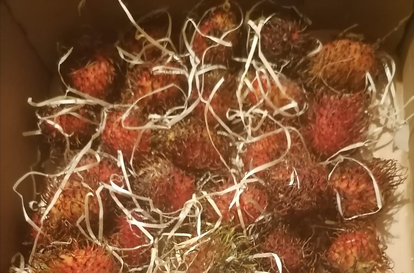 Customer photo review of Rambutan naturbelassen