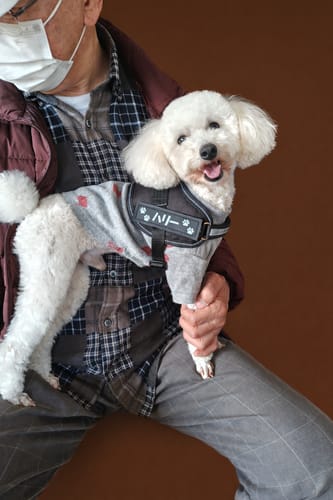 Customer photo review of FunFunPet 高機能ハーネス（お名前タグ作成サービス付き）