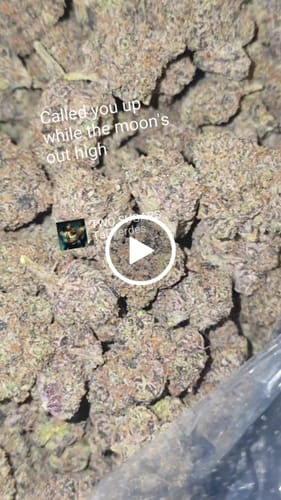 Customer video review of Bulk Exotic Flower