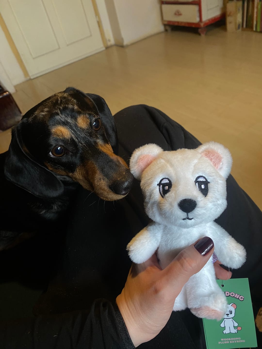 Customer photo review of LEE DONG WOOK [WOOKDONG’s Home Sweet Home] Wookdong Plush Keyring