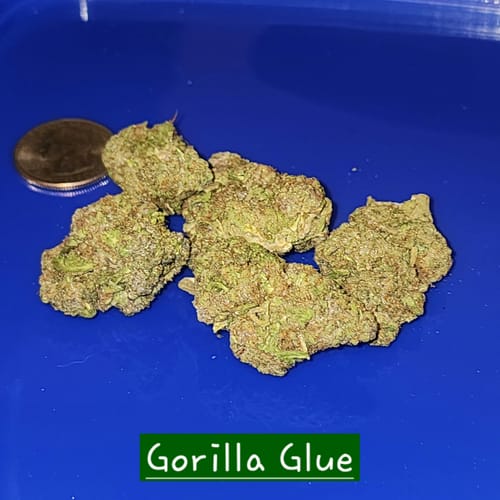 Customer photo review of Cheap THCA Flower Ounce