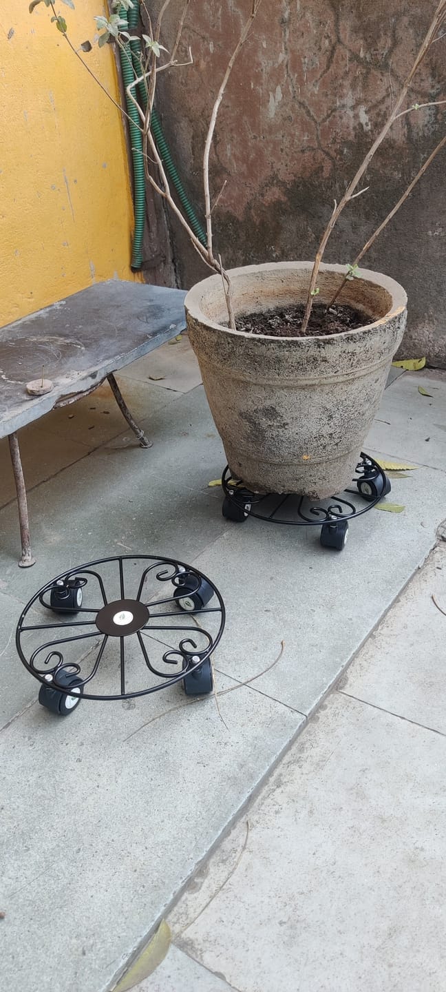 Customer photo review of TryGreen Fyra Wheel Rolling Plant Stand for Planters