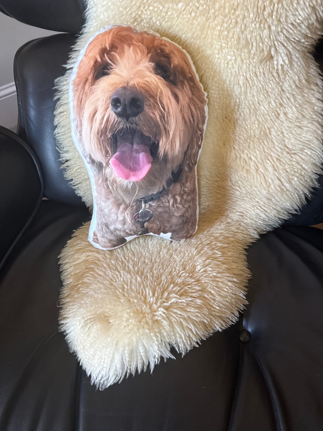 Customer photo review of Custom Dog Shaped Memorial Pillow for Pet Owners from Your Pet Picture