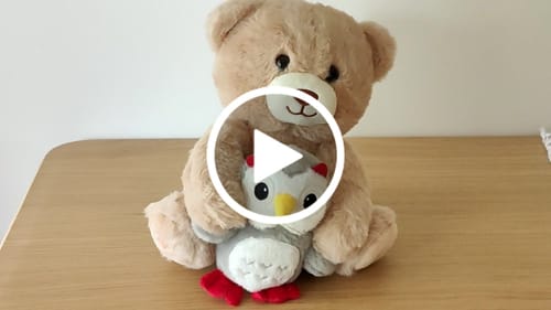 Customer video review of Teddy Bear Stuffed Animal with Voice Recording and Nursery Rhymes