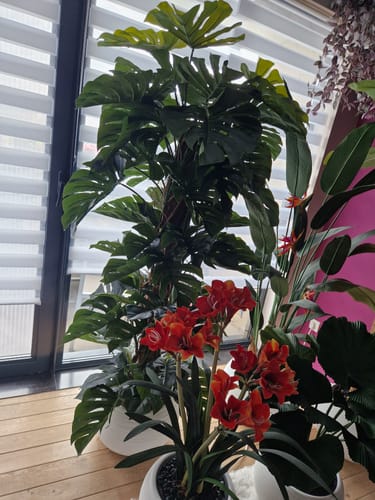 Customer photo review of Monstera Kunstplant 180cm