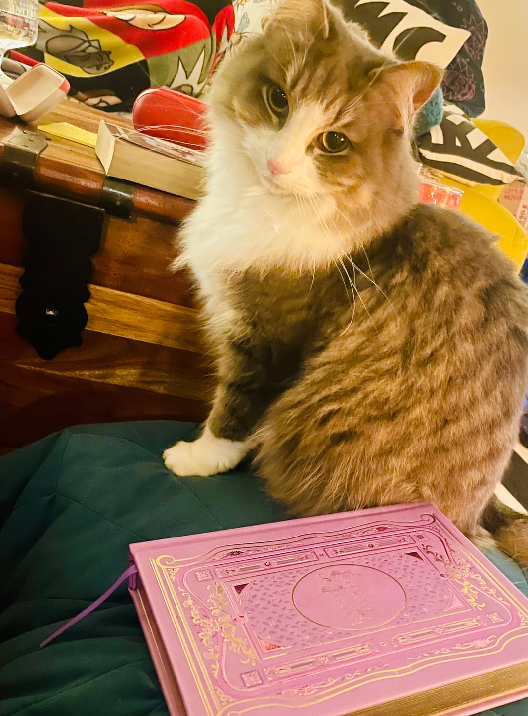 Customer photo review of Reading Journal - Wisteria