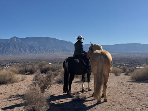 Customer photo review of Women's Fleece Lined High Rise Sitka Winter Pants