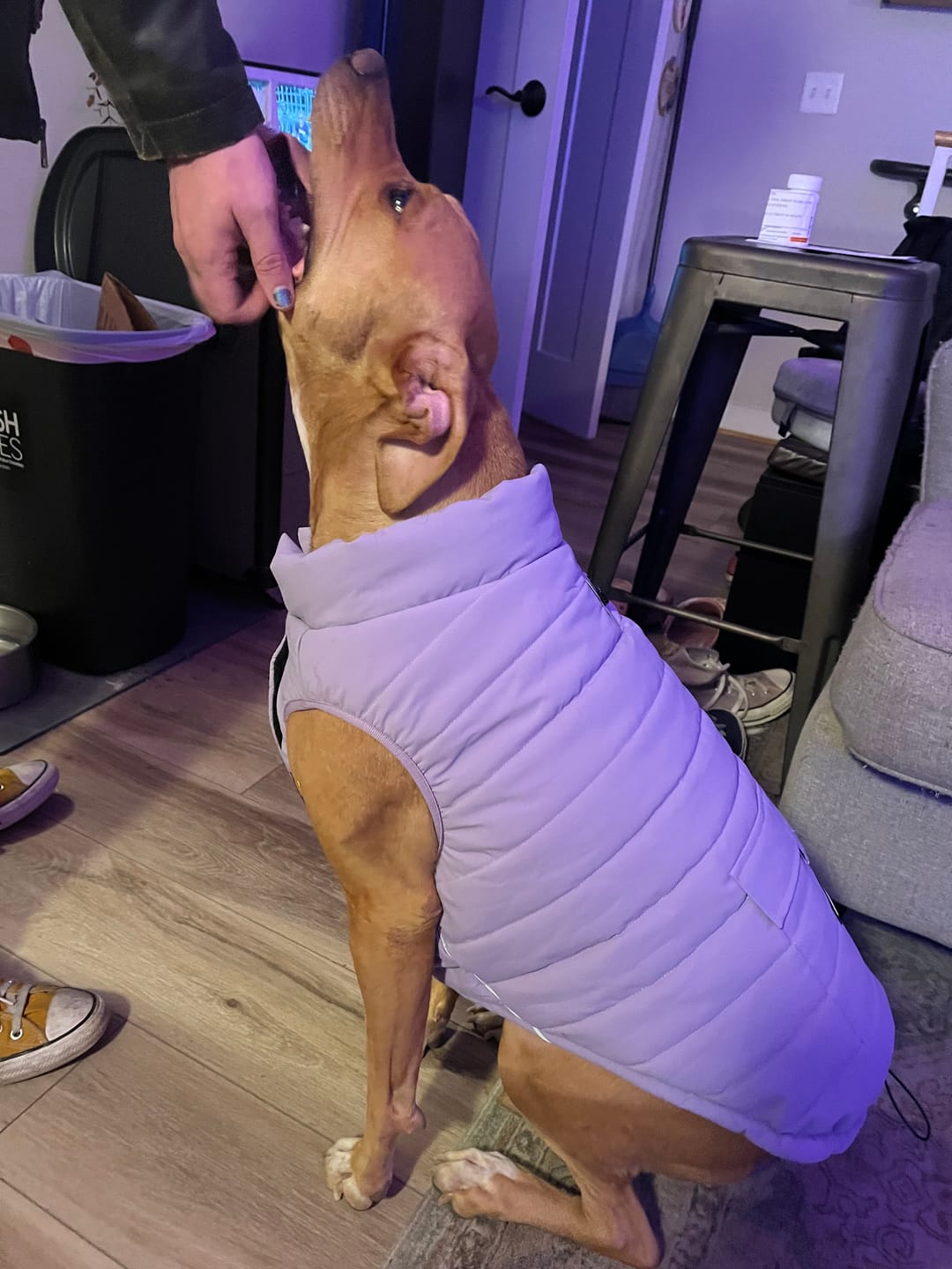 Customer photo review of WarmShield Water-Resistant Jacket - Lilac