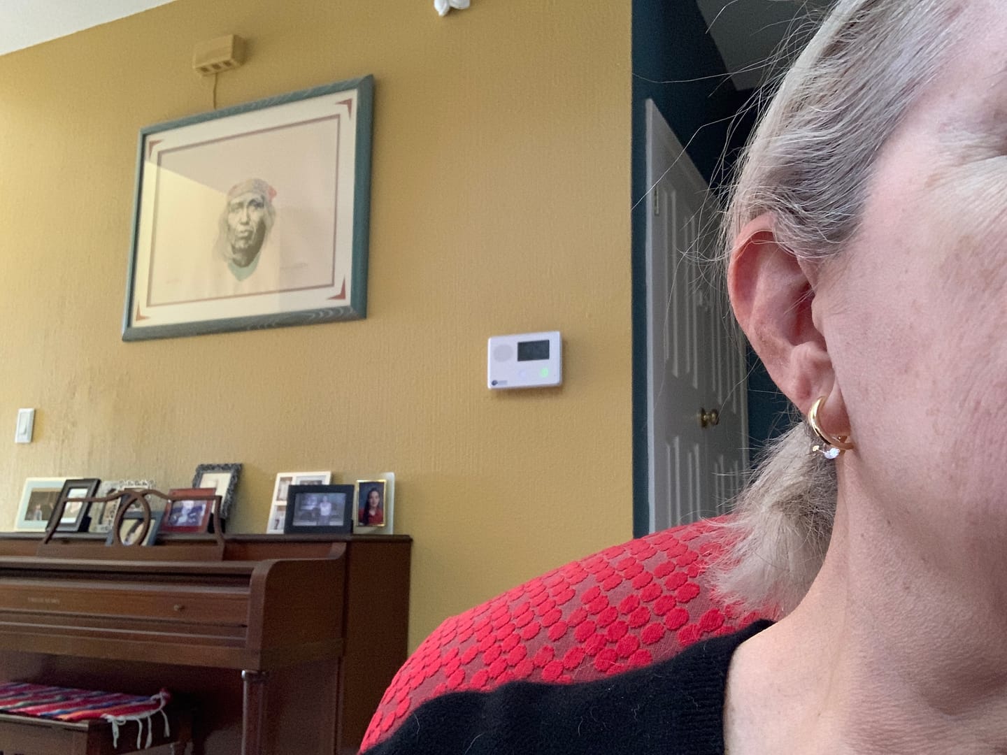 Customer photo review of Jayne Earrings