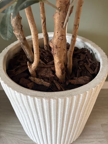 Customer photo review of 10 liter Frans Boomschors