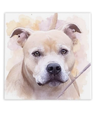 Customer photo review of Tegel met Gepersonaliseerd Huisdier Portret in Aquarelstijl