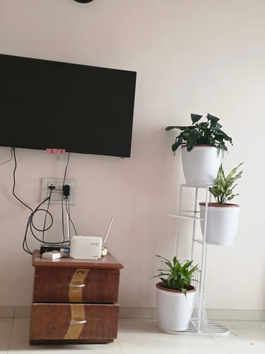 Customer photo review of UnitedCrafts MILO 6 Tier Metal Plant Stand -7 Potted Multiple Shelves