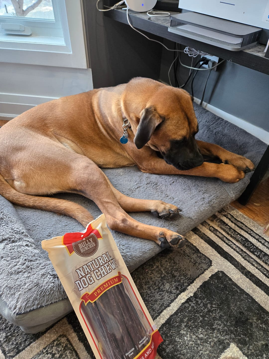 Customer photo review of 12 Inch Beef Jerky Stick
