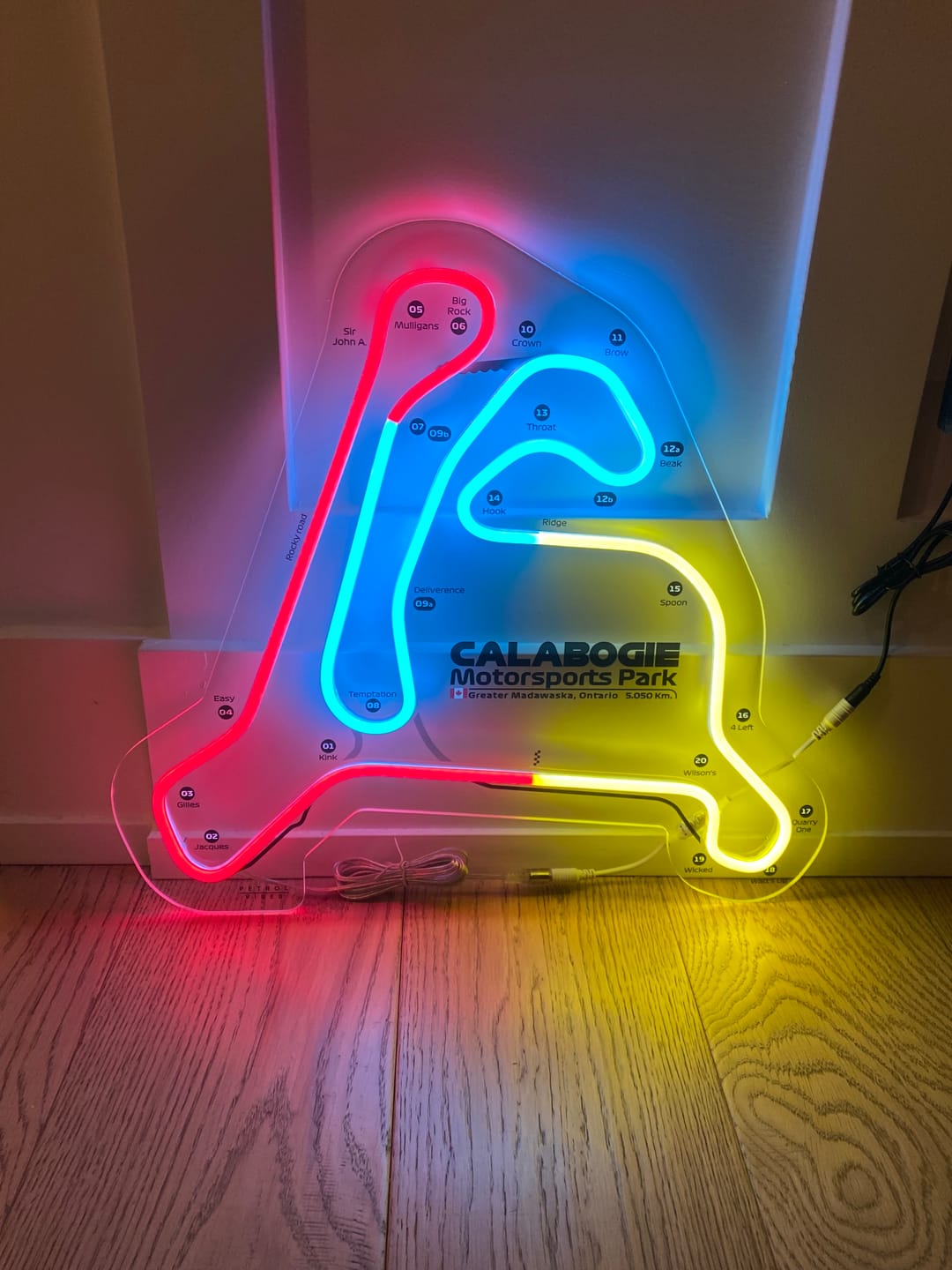 Customer photo review of Your Custom Neon Race Track Service