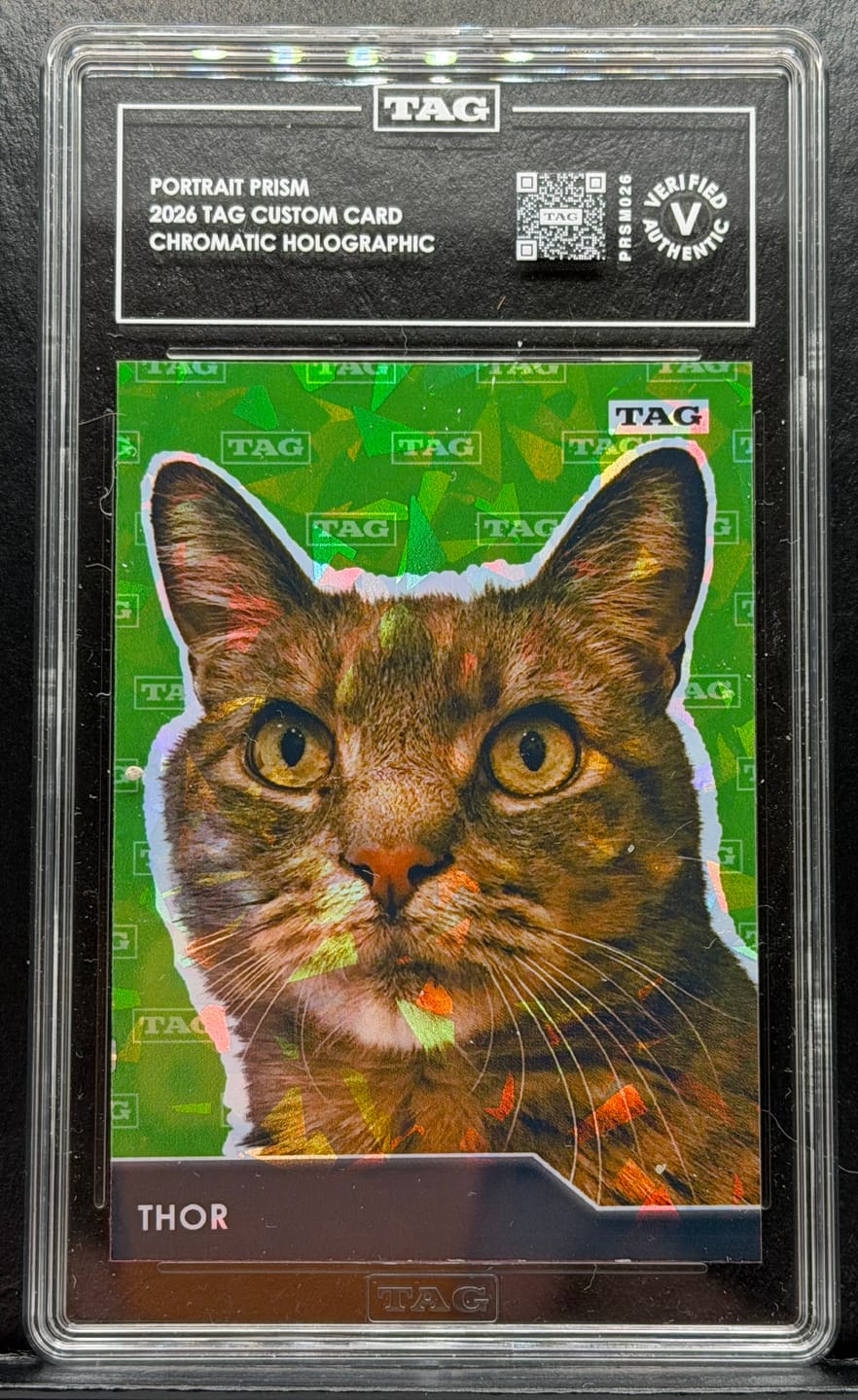 Customer photo review of TAG Custom Card | Pet Portrait Prism