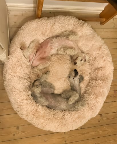 Customer photo review of CalmBed - Motverkar stress & hjälper mot ångest