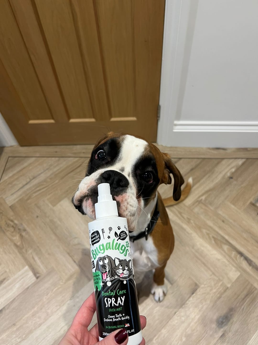 Customer photo review of Dental Care Spray in Fresh Mint for Dogs & Cats